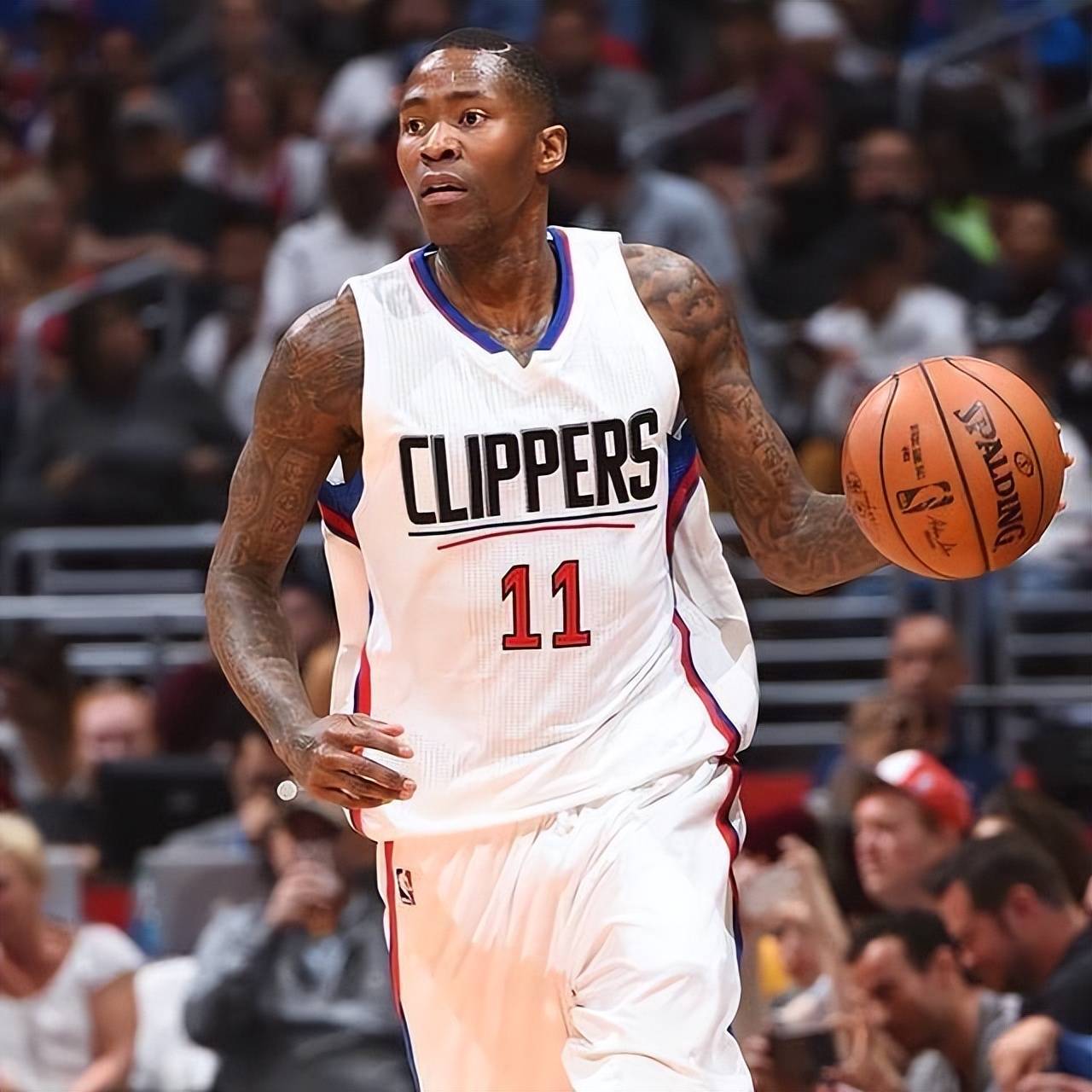 稳固了其在 稳固了其在